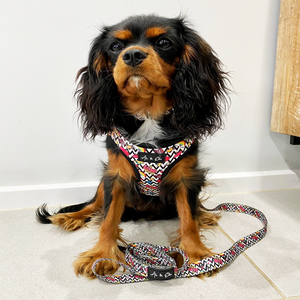 Love Struck Luxe Dog Collar