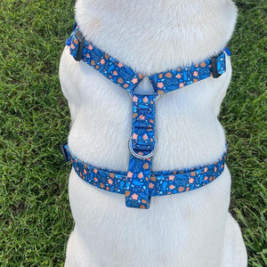 Aspen Cozy Dog Vest Harness - Ace and Ellie Pet Emporium