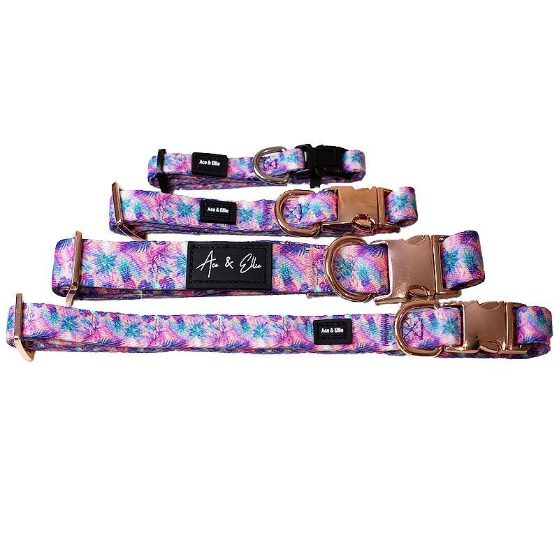 Aurora Premium Dog Collar - Ace and Ellie Pet Emporium