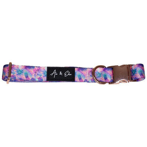 Aurora Premium Dog Collar - Ace and Ellie Pet Emporium