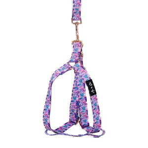 Aurora Premium Dog Strap Harness - Ace and Ellie Pet Emporium