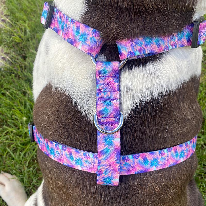 Aurora Premium Dog Vest Harness - Ace and Ellie Pet Emporium