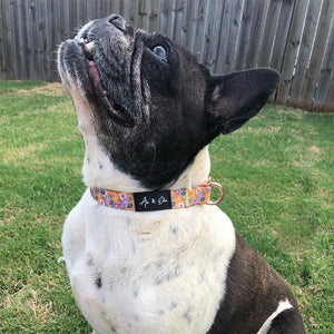 Elsie Elegant Dog Collar - Ace and Ellie Pet Emporium