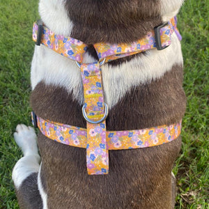 Elsie Elegant Dog Vest Harness - Ace and Ellie Pet Emporium