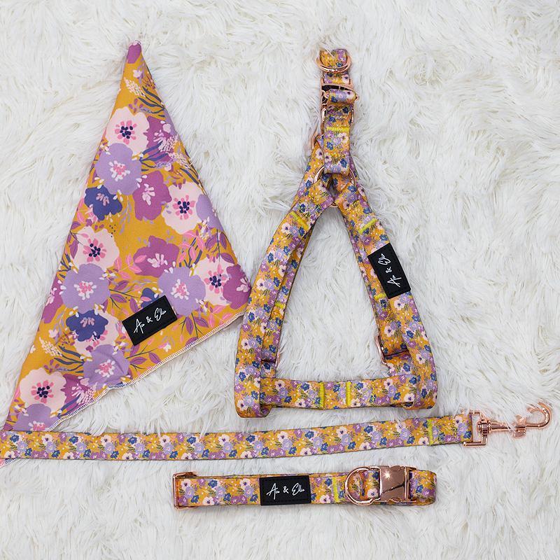 Elsie Elegant Strap Bundle - Ace and Ellie Pet Emporium