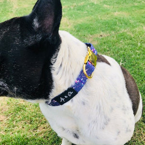 Ivy Luxe Dog Collar - Ace and Ellie Pet Emporium