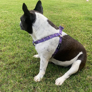 Ivy Luxe Dog Step-In Harness - Ace and Ellie Pet Emporium
