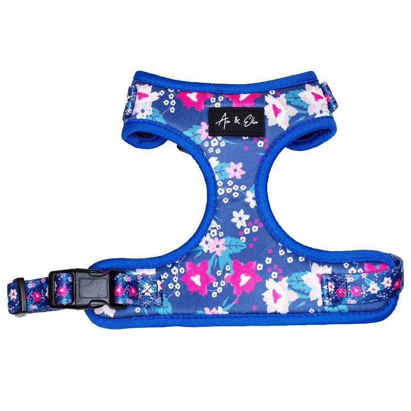 Lyla Grand Cat Vest Harness - Ace and Ellie Pet Emporium