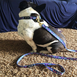 Lyla Grand Dog Collar - Ace and Ellie Pet Emporium