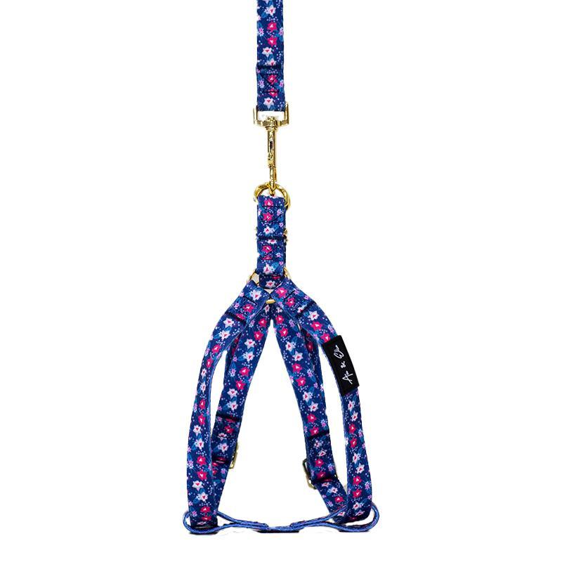 Lyla Grand Dog Strap Harness - Ace and Ellie Pet Emporium