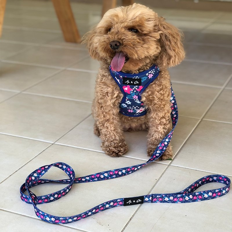 Lyla Grand Dog Vest Harness - Ace and Ellie Pet Emporium