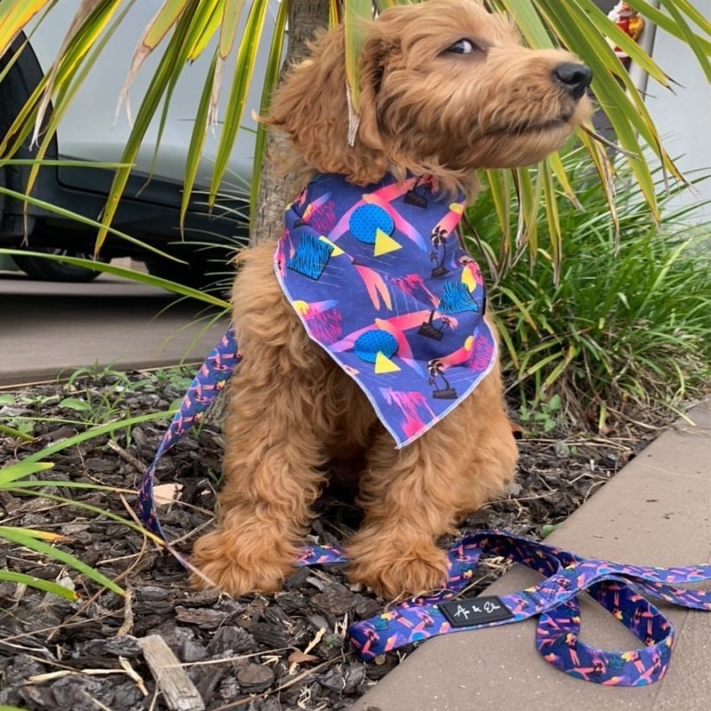 Remy Luxe Bandana - Ace and Ellie Pet Emporium