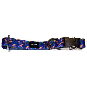 Remy Luxe Dog Collar - Ace and Ellie Pet Emporium