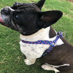 Remy Luxe Dog Strap Harness - Ace and Ellie Pet Emporium