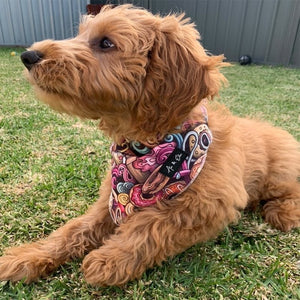 Tate Stylish Bandana - Ace and Ellie Pet Emporium