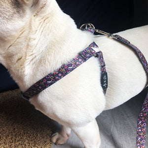 Tate Stylish Dog Step-In Harness - Ace and Ellie Pet Emporium